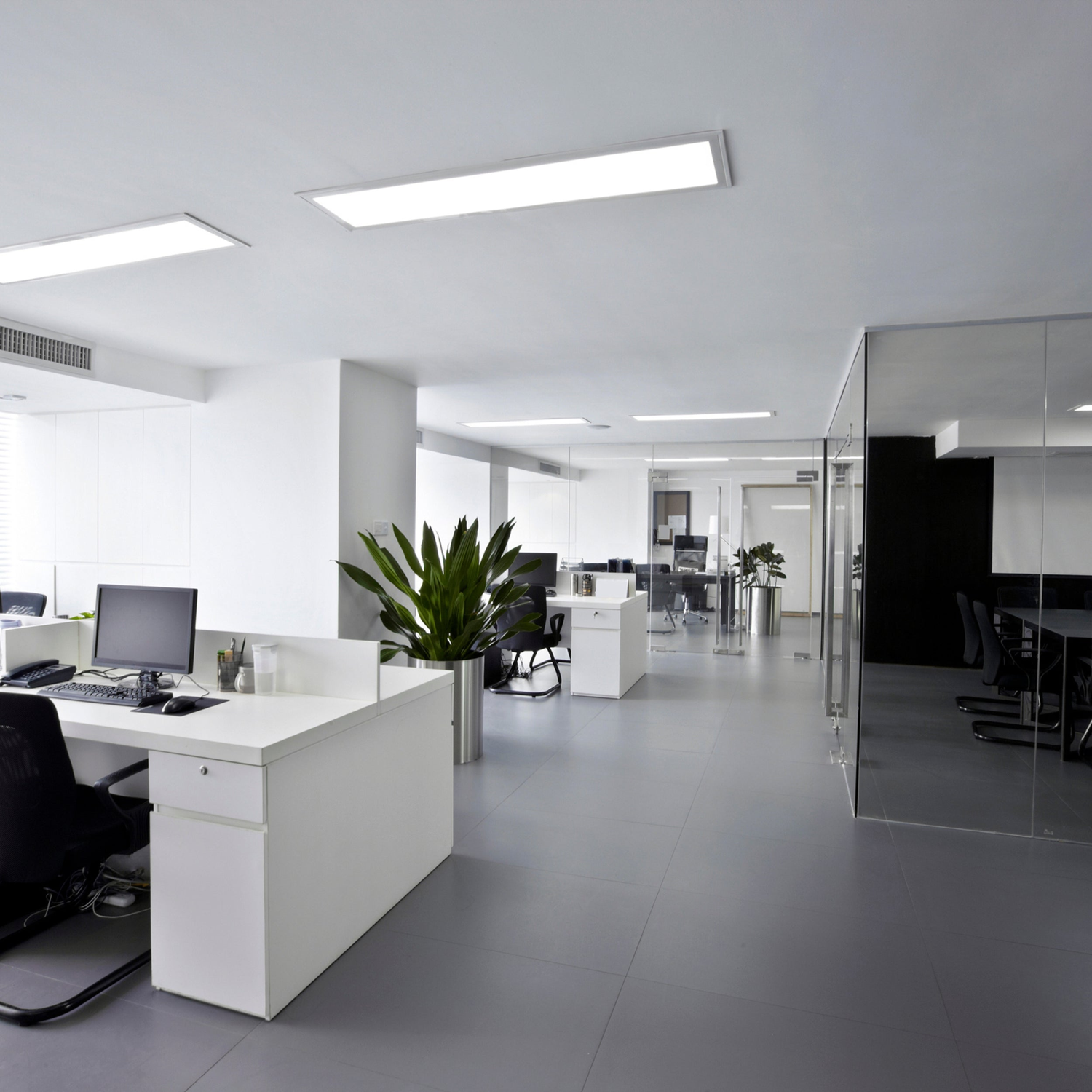 Oficina y Trabajo